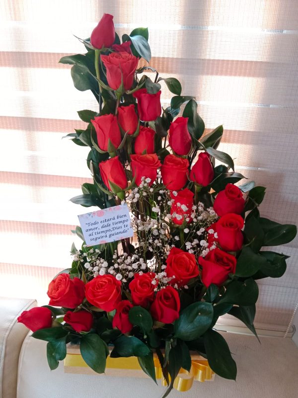 Medialuna sencilla en rosas R149